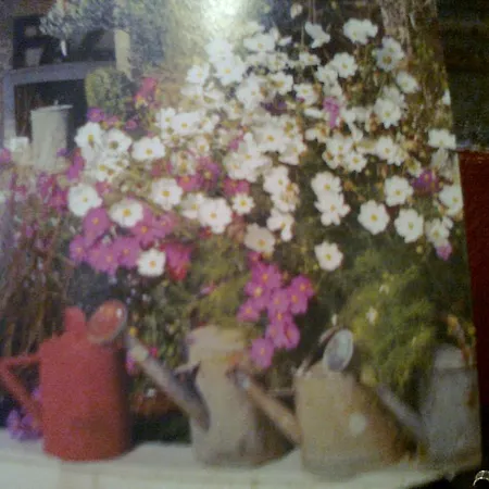 Bed & Breakfast Le Clocher Du May