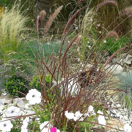 Le Clocher Du May * Saint-Germer-de-Fly