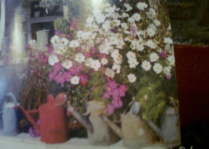 Bed & Breakfast Le Clocher Du May